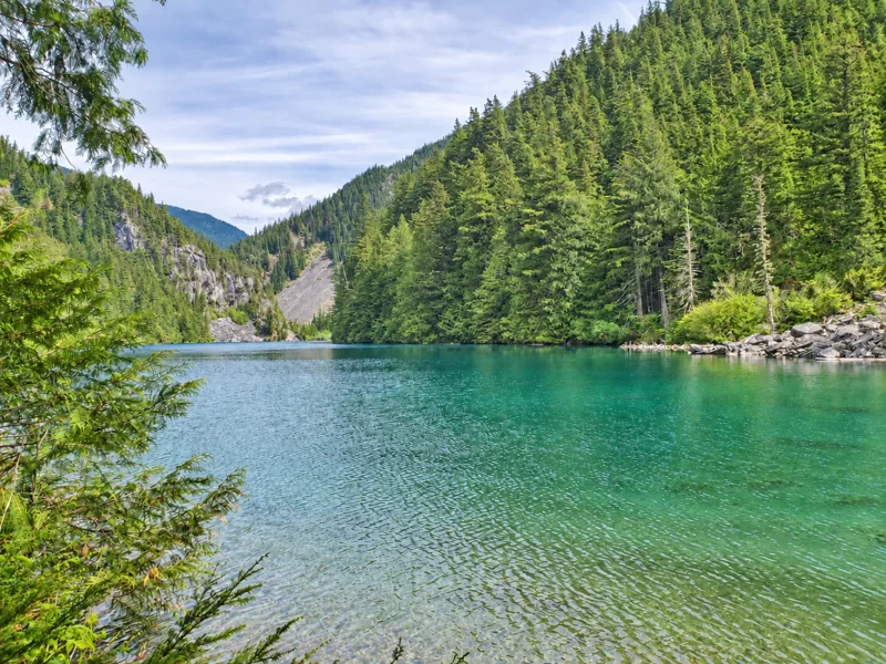 Lindeman Lake viewed through the trees